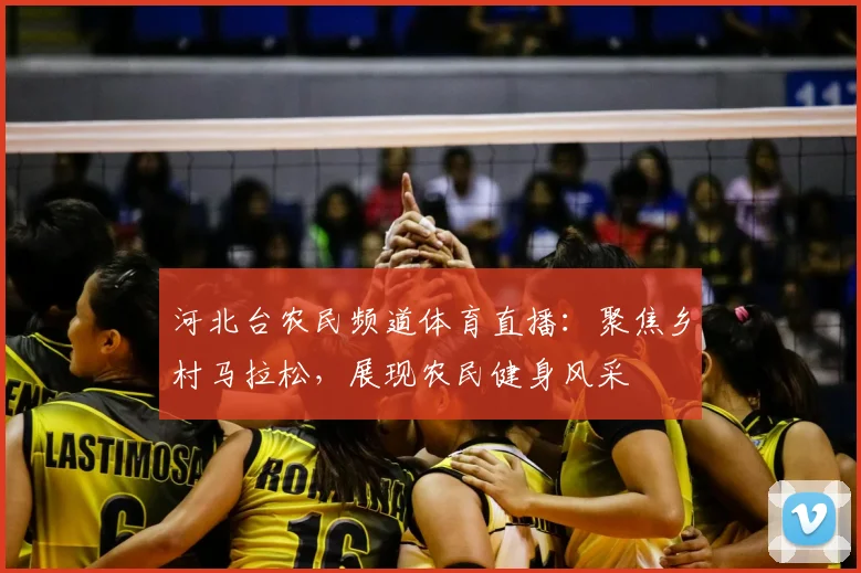 河北台农民频道体育直播:聚焦乡村马拉松,展现农民健身风采