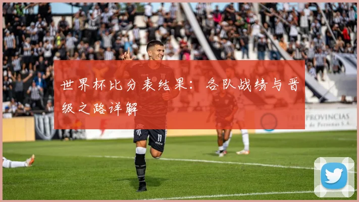 世界杯比分表结果：各队战绩与晋级之路详解