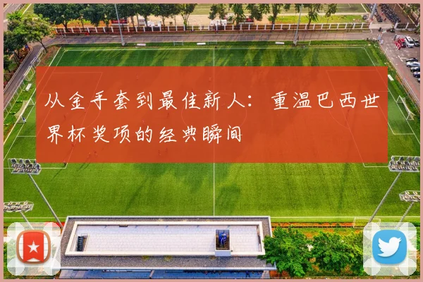 从金手套到最佳新人：重温巴西世界杯奖项的经典瞬间