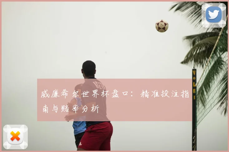 威廉希尔世界杯盘口：精准投注指南与赔率分析