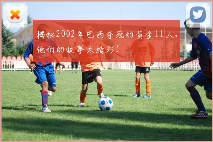 揭秘2002年巴西夺冠的黄金11人，他们的故事太精彩！