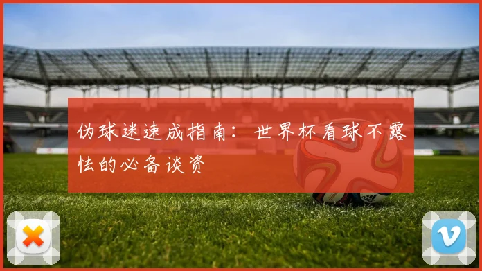 伪球迷速成指南：世界杯看球不露怯的必备谈资