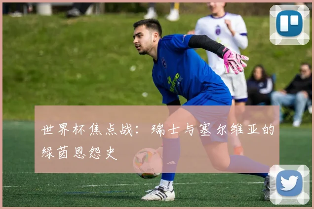 世界杯焦点战：瑞士与塞尔维亚的绿茵恩怨史