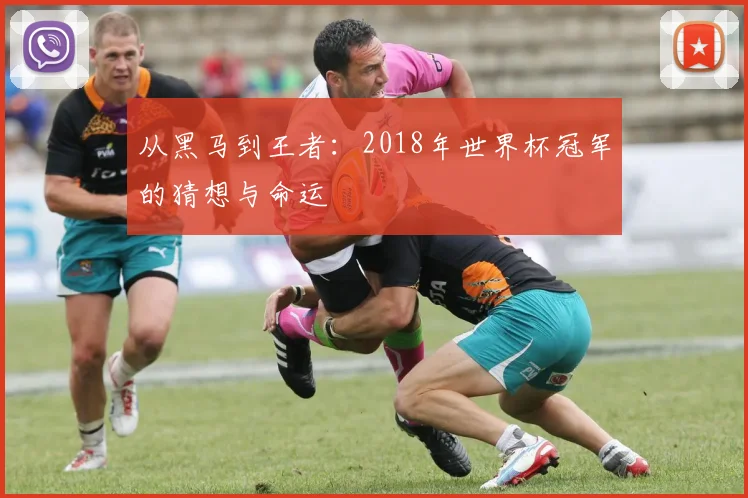 从黑马到王者：2018年世界杯冠军的猜想与命运