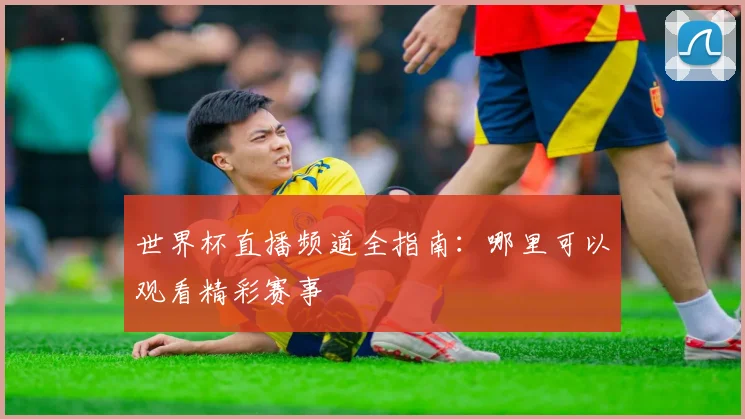 世界杯直播频道全指南：哪里可以观看精彩赛事