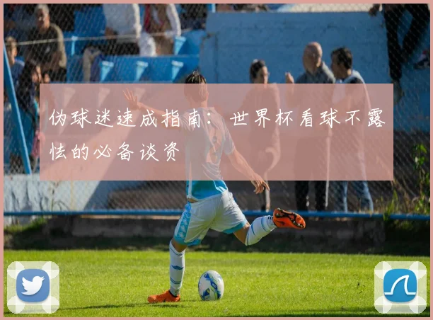 伪球迷速成指南：世界杯看球不露怯的必备谈资