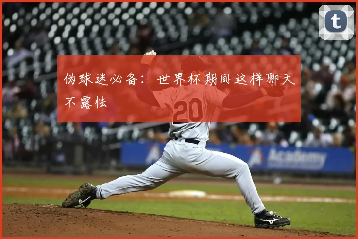 伪球迷必备：世界杯期间这样聊天不露怯