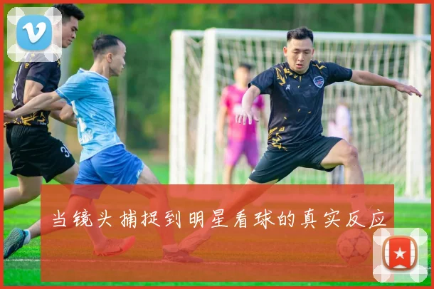 当镜头捕捉到明星看球的真实反应